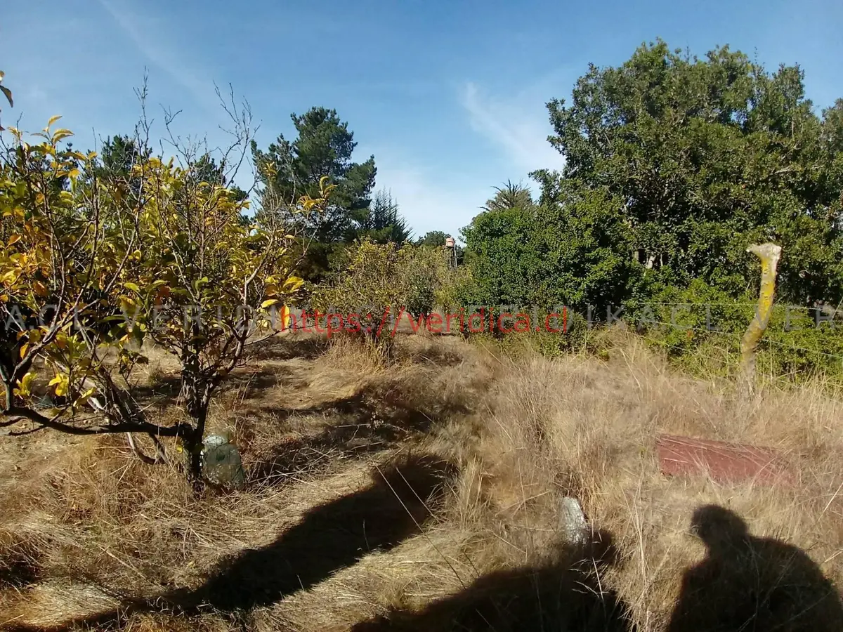 Espectacular parcela en Algarrobo de 43ha UF 11.000 - foto 5