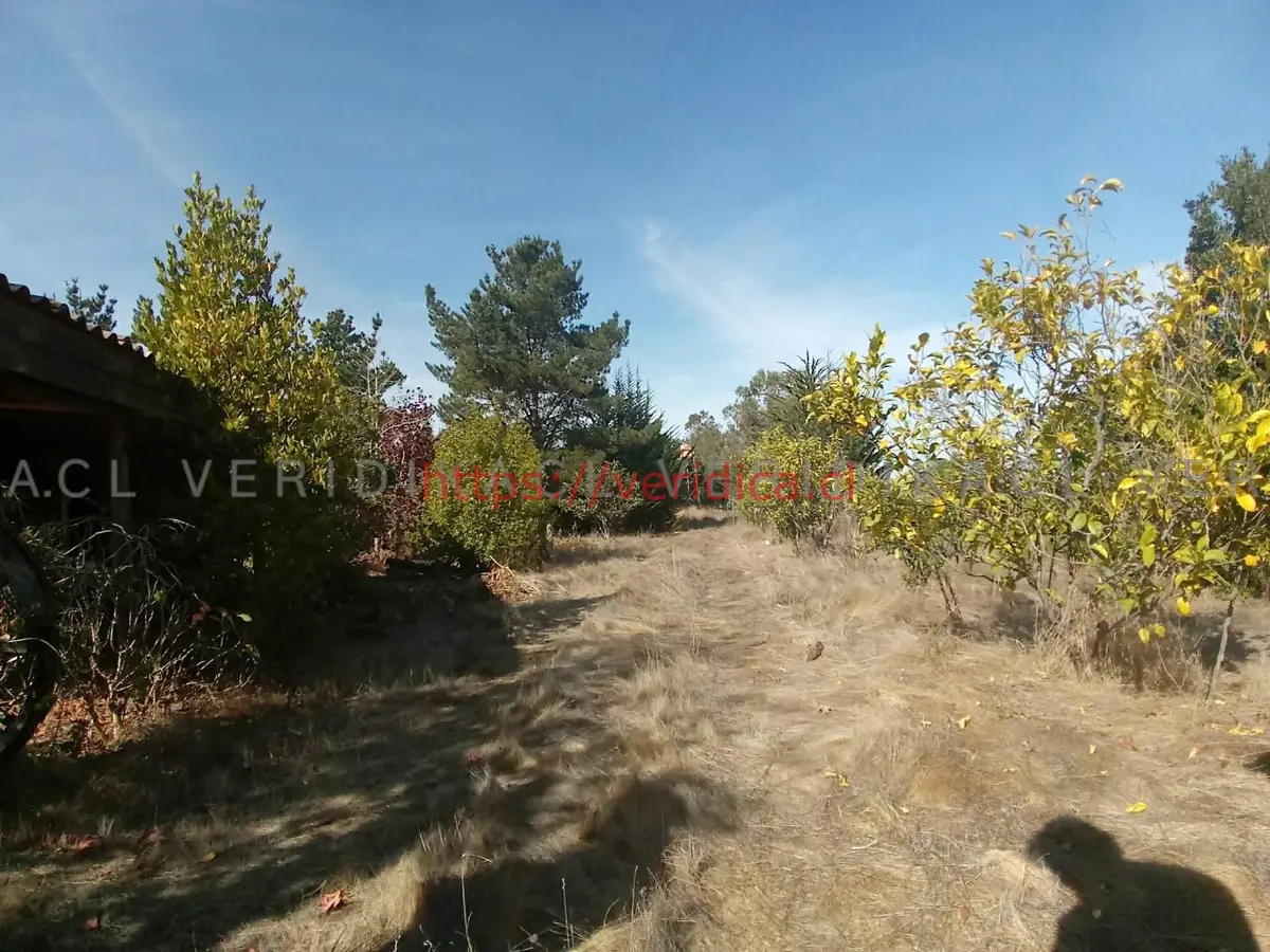 Espectacular parcela en Algarrobo de 43ha UF 11.000 - foto 6