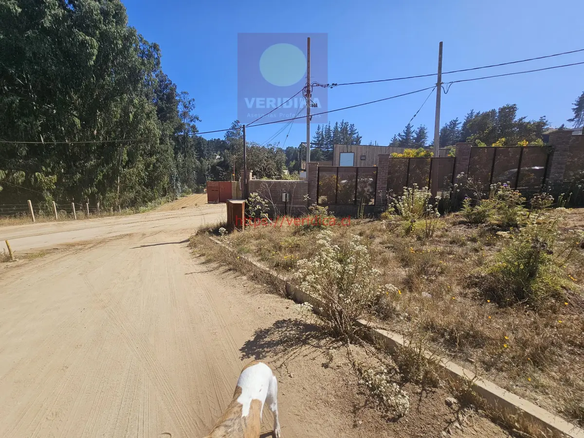 Vendo terreno en Los Pinos Reñaca 511m2. - foto 4