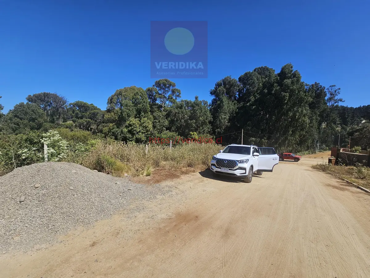 Vendo terreno en Los Pinos Reñaca 511m2. - foto 6