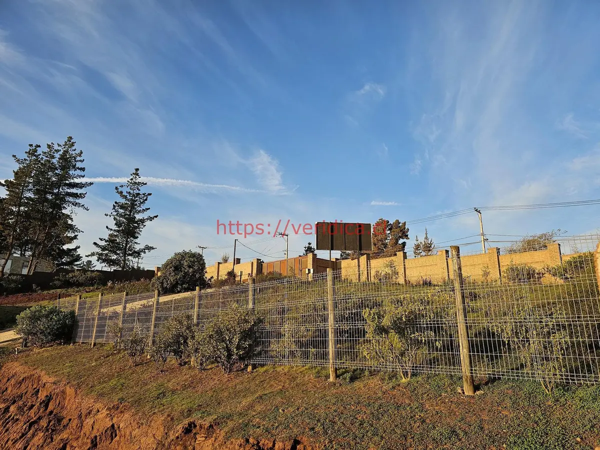 Vendo en sector Los Pinos terreno de 634m2 - foto 4