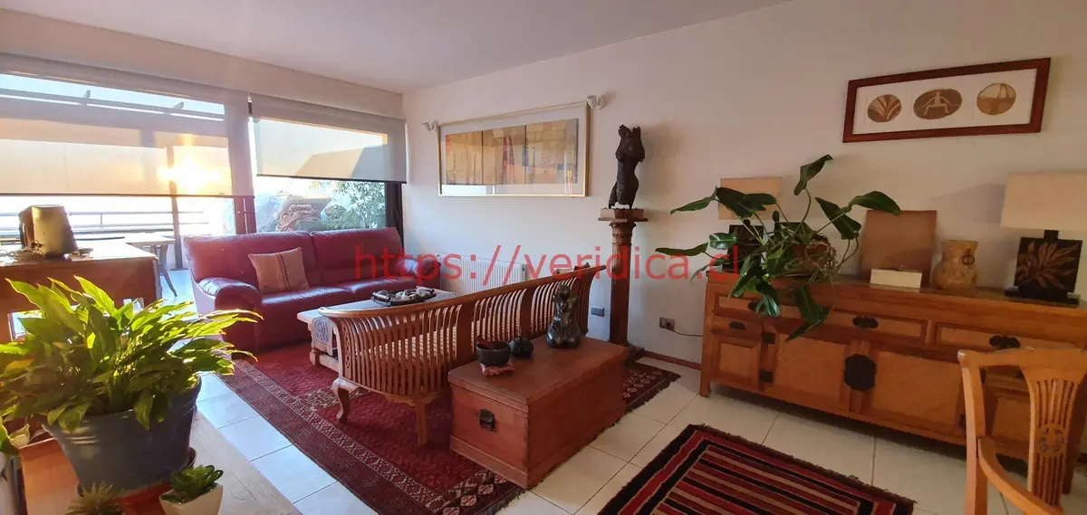 Veridika vende hermoso departamento con terraza de 44mts2. - foto 3