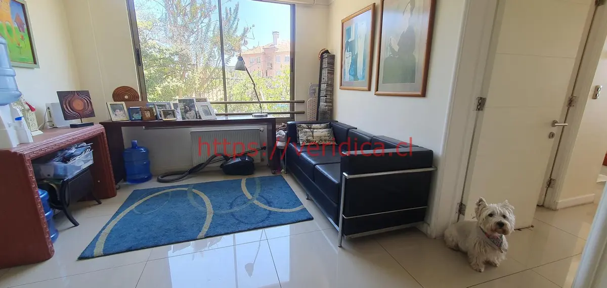 Veridika vende lindo departamento c/vista a higuerillas - foto 5