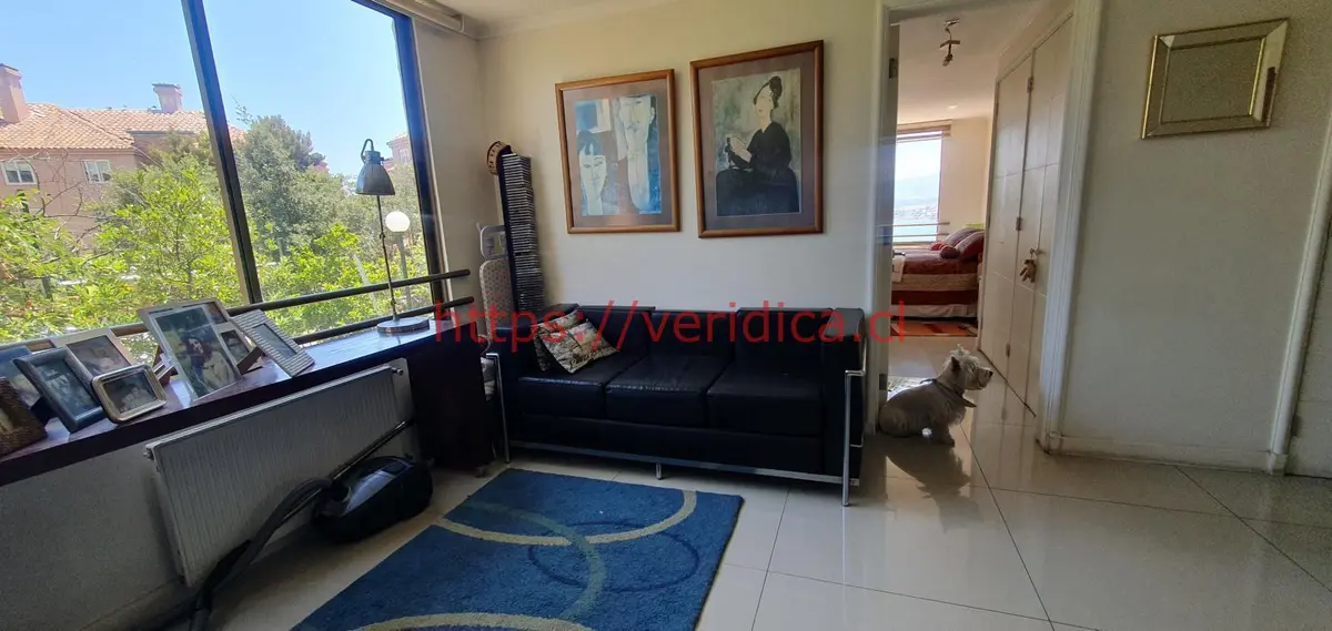 Veridika vende lindo departamento c/vista a higuerillas - foto 6