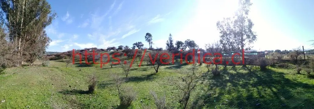 Veridika Vende Parcela, sector Los Molles, Lo Orozco Quilpué - foto 5