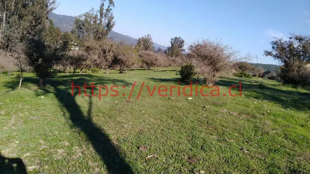Veridika Vende Parcela, sector Los Molles, Lo Orozco Quilpué - foto 6