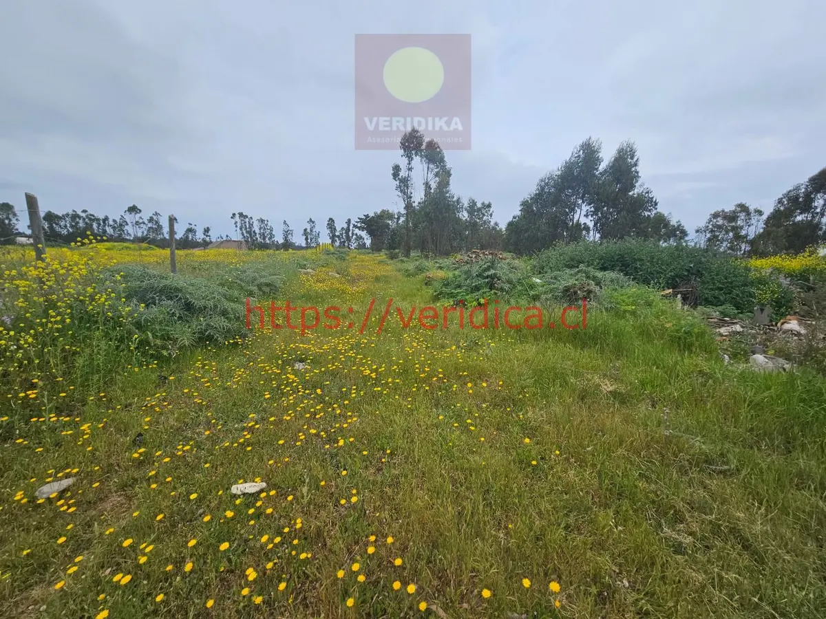 Vendo terreno industrial en Cartagena 6300uf/há, 23 há - foto 5