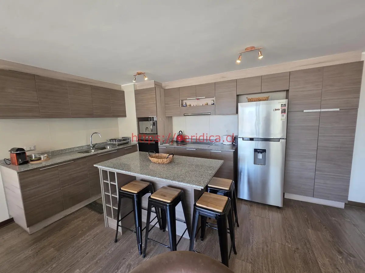 Vendo depto con 3 estacionamientos plan de Viña - foto 6