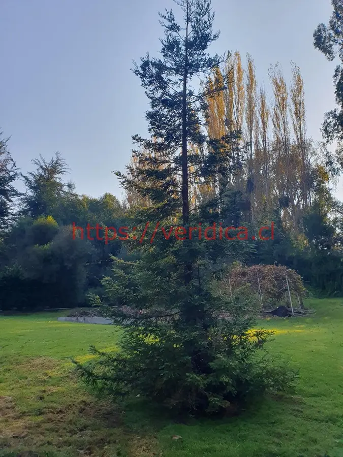 Bellísima parcela en Melipilla, con acceso restringido UF 6.584 - foto 6