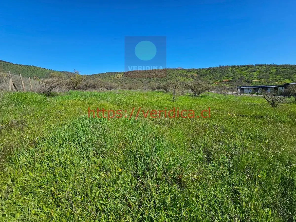 Vendo en Reserva forestal Las Añañucas terreno de 5290m2 - foto 2