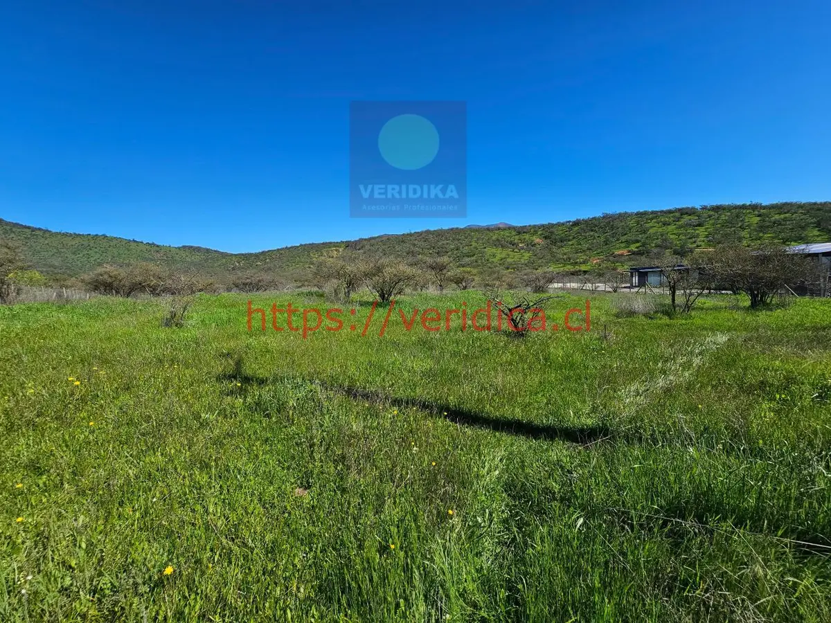 Vendo en Reserva forestal Las Añañucas terreno de 5290m2 - foto 3