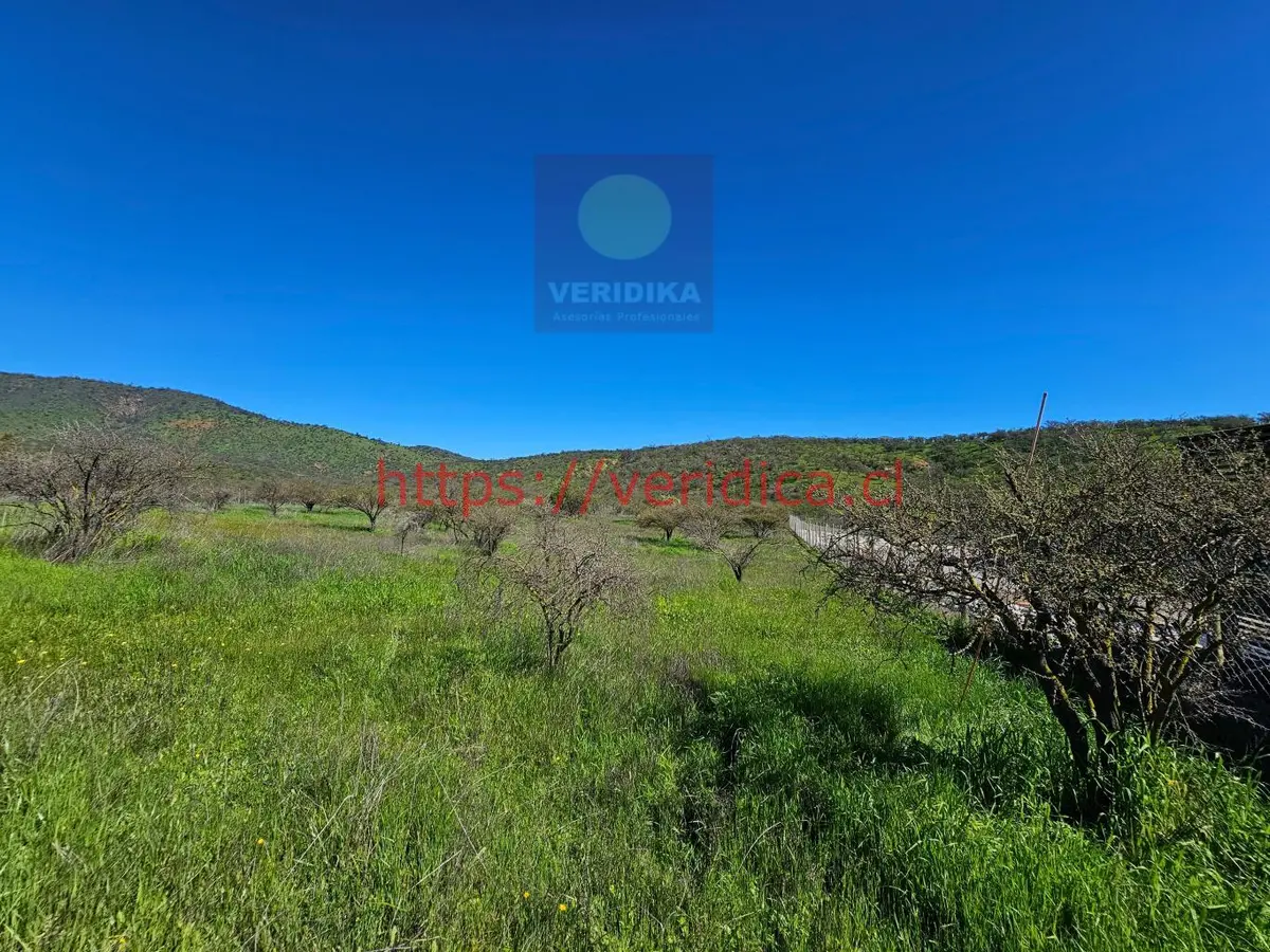 Vendo en Reserva forestal Las Añañucas terreno de 5290m2 - foto 4