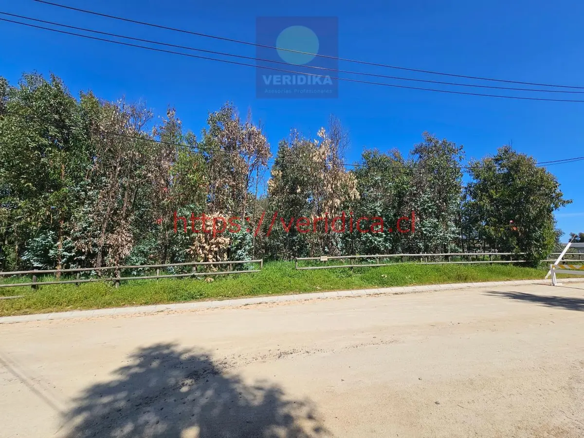Vendo terreno en condominio en Santa Adela Mantagua - foto 2