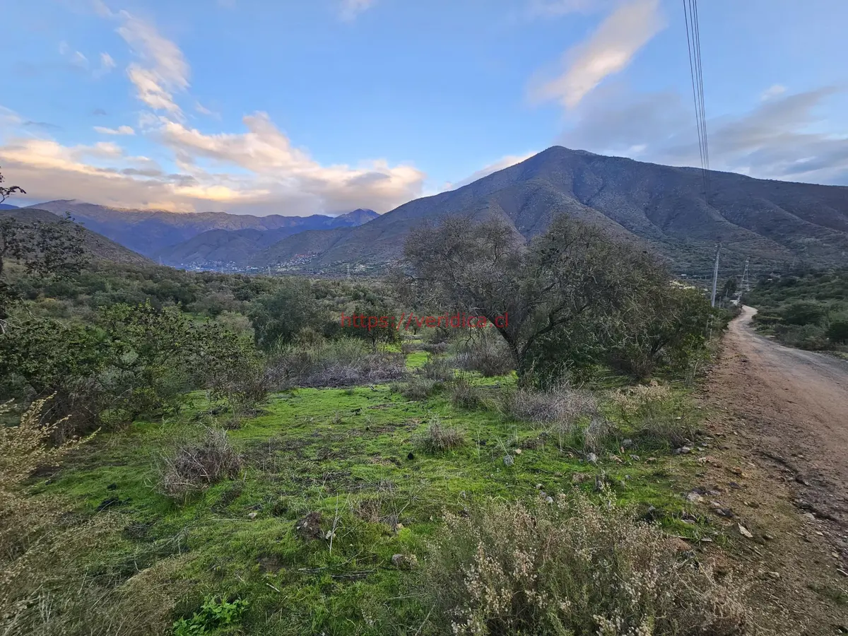 Vendo hermosas parcelas planas en sector Quebrada Alvarado.. - foto 3