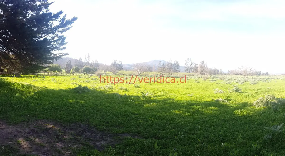 Tereno 100% plano en Zona Urbana Casablanca. - foto 2