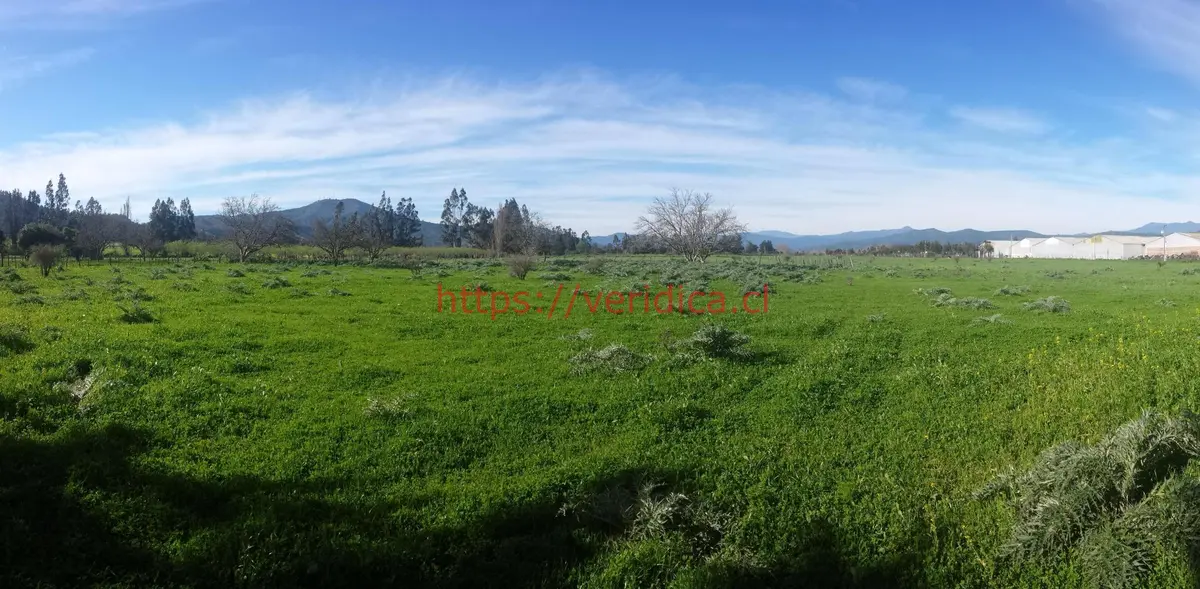 Tereno 100% plano en Zona Urbana Casablanca. - foto 3