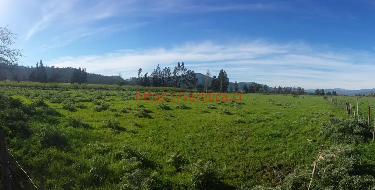 Tereno 100% plano en Zona Urbana Casablanca. - foto 4