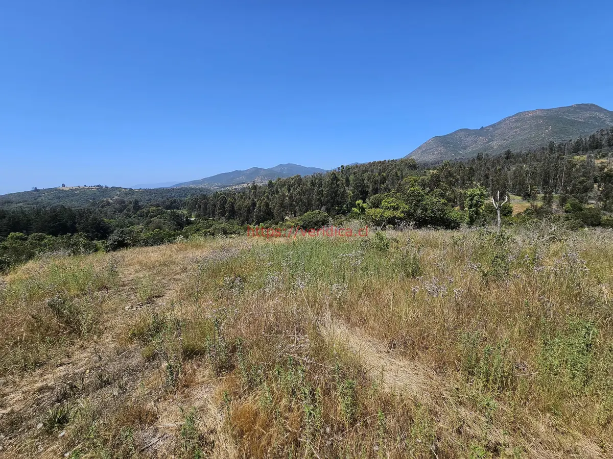 Vendo terreno en Mantagua. - foto 3