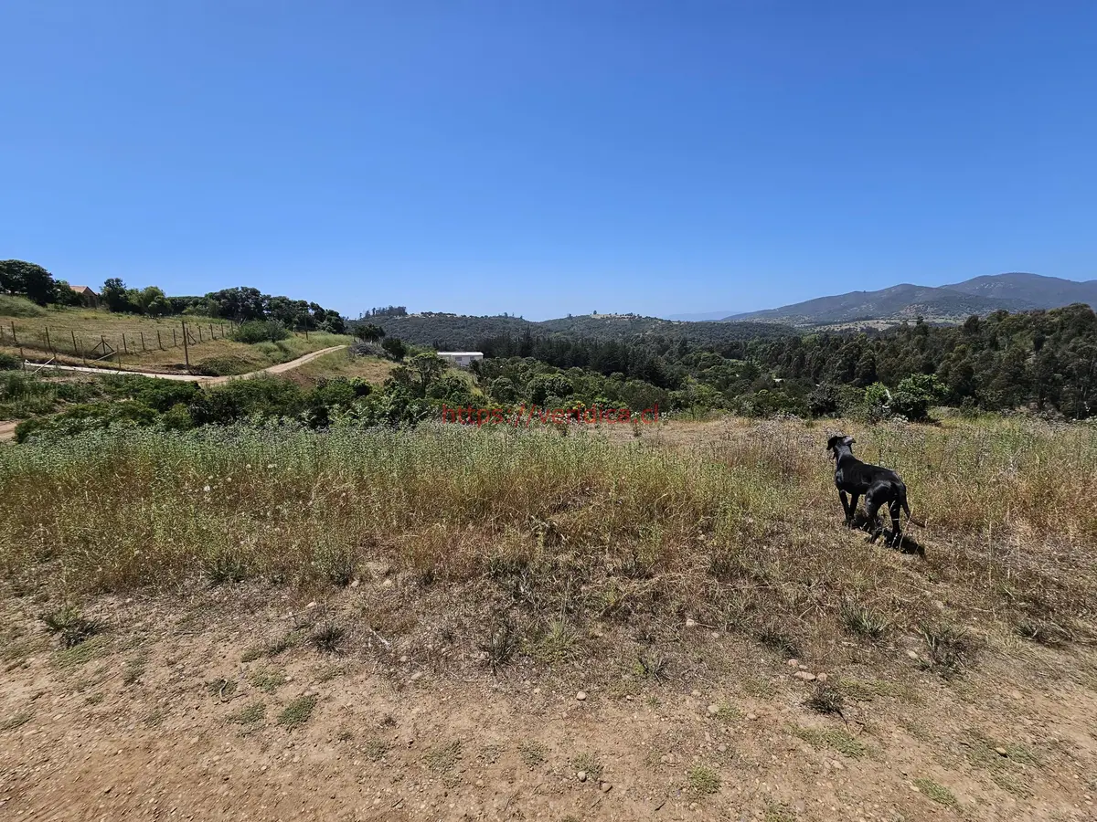 Vendo terreno en Mantagua. - foto 4