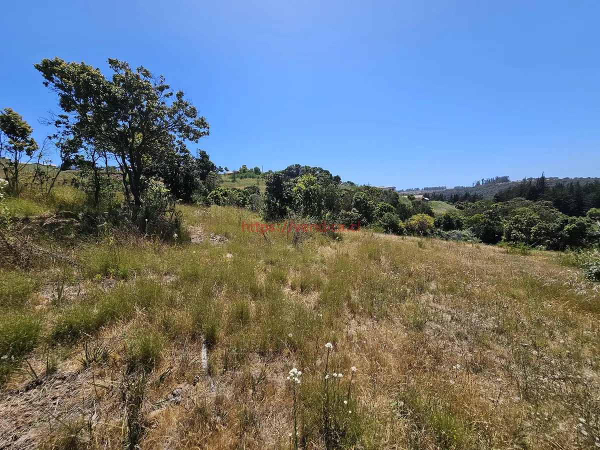 Vendo terreno en Mantagua. - foto 5