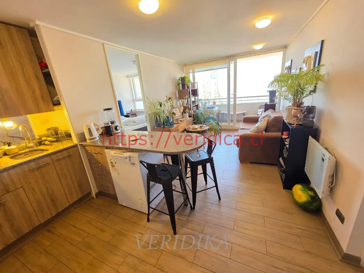 Vendo departamento en Costa de Montemar - foto 4