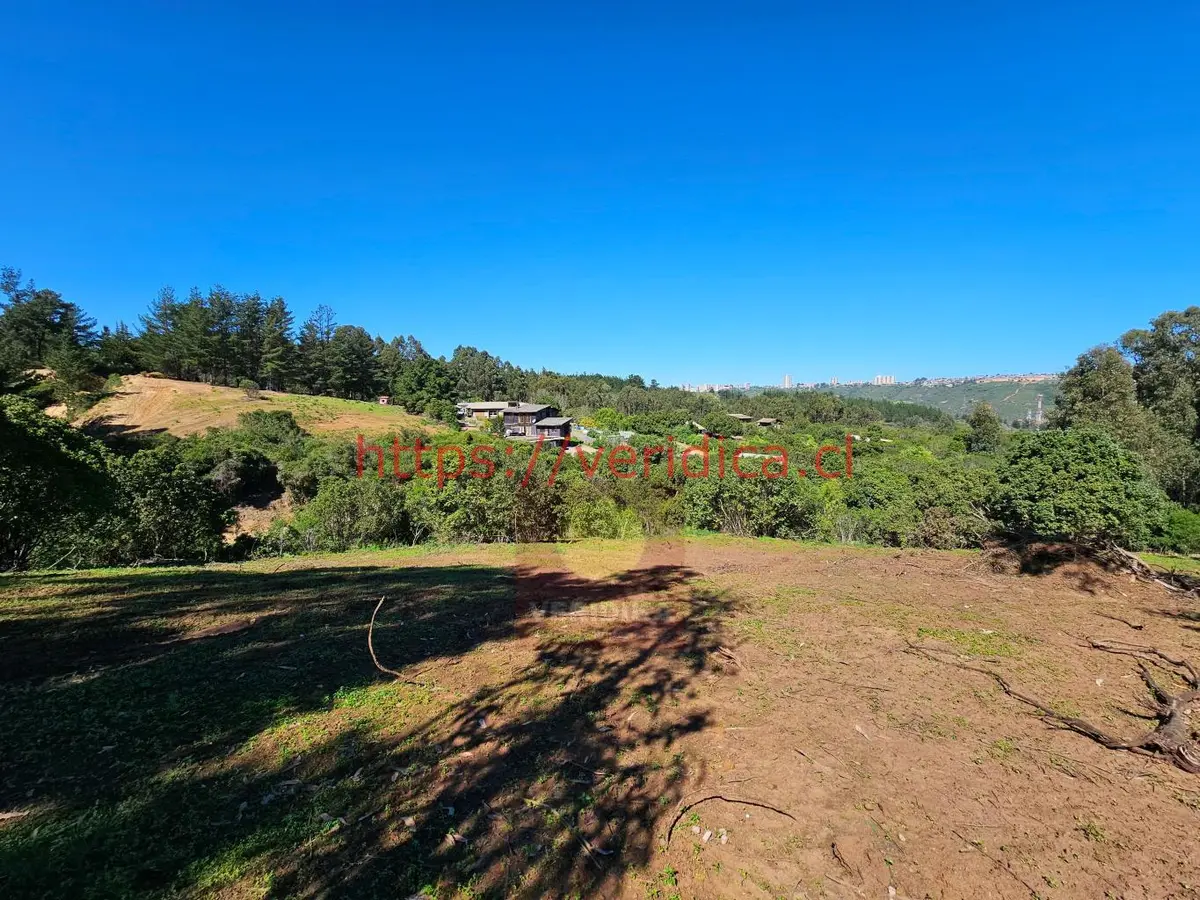 Verídika vende en Reñaca hermosos terrenos de 500m2 - foto 2
