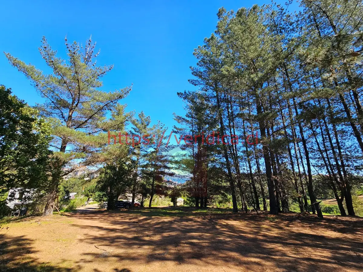 Verídika vende en Reñaca hermosos terrenos de 500m2 - foto 3