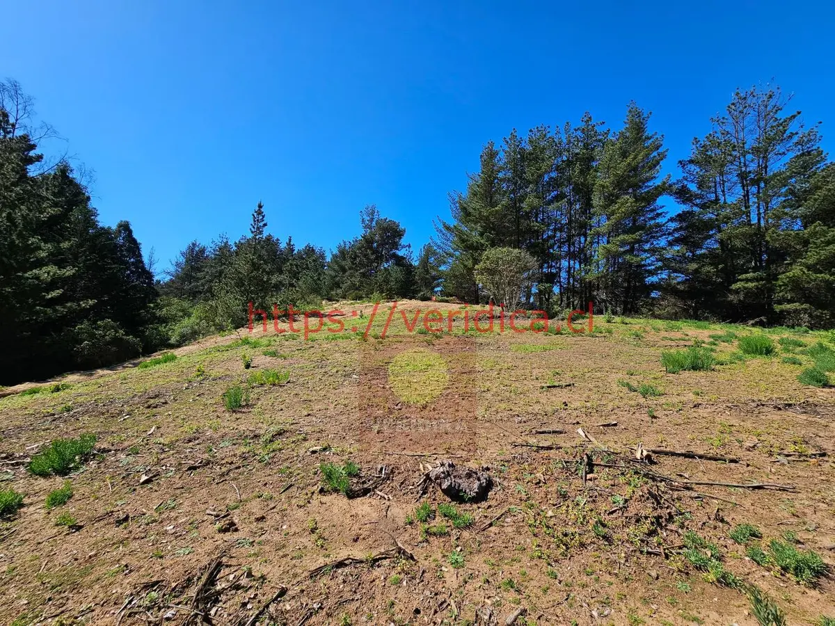Verídika vende en Reñaca hermosos terrenos de 500m2 - foto 6