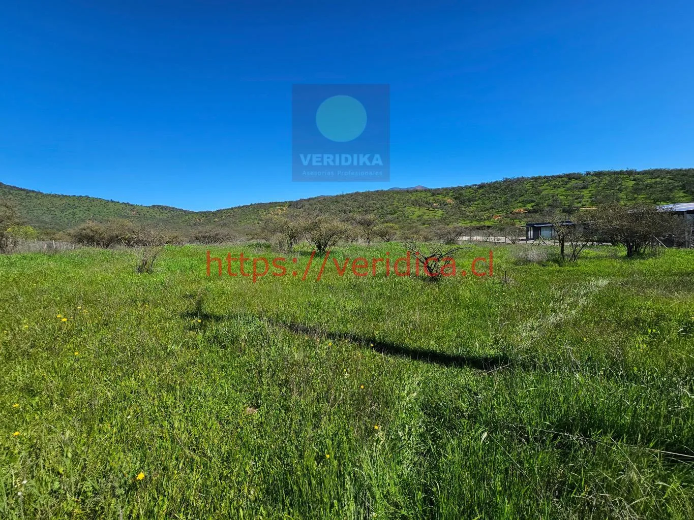 Vendo en Reserva forestal Las Añañucas terreno de 5290m2 - foto 3
