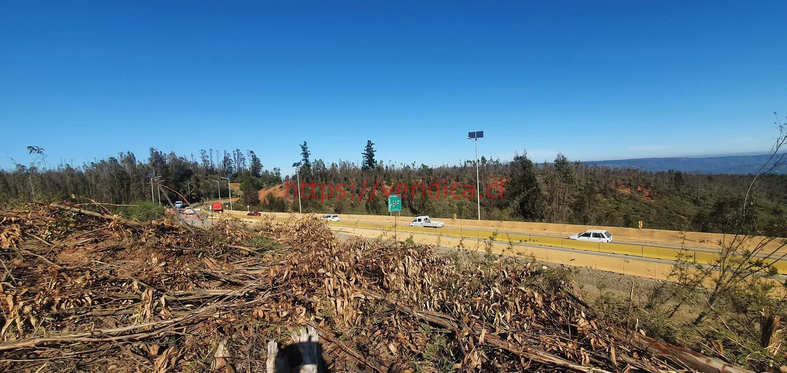 Arriendo Terreno industrial de 3.000 m2 en Placilla. - foto 6