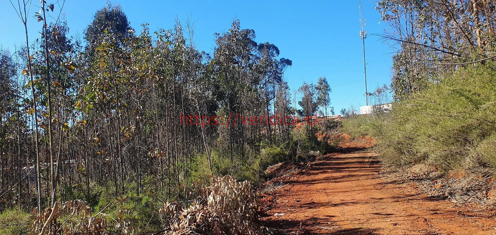 Arriendo Terreno industrial de 3.000 m2 en Placilla. - foto 1
