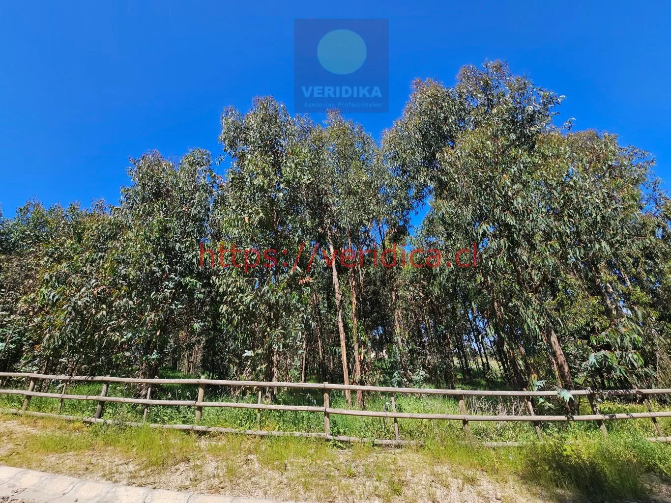 Vendo terreno en condominio en Santa Adela Mantagua - foto 1