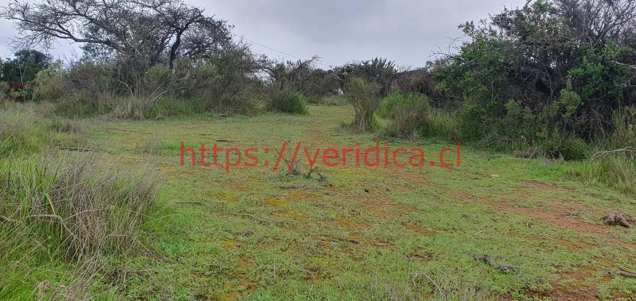 Veridica VENDE Hermosa parcela de agrado en Casablanca $39.990.000 - foto 1