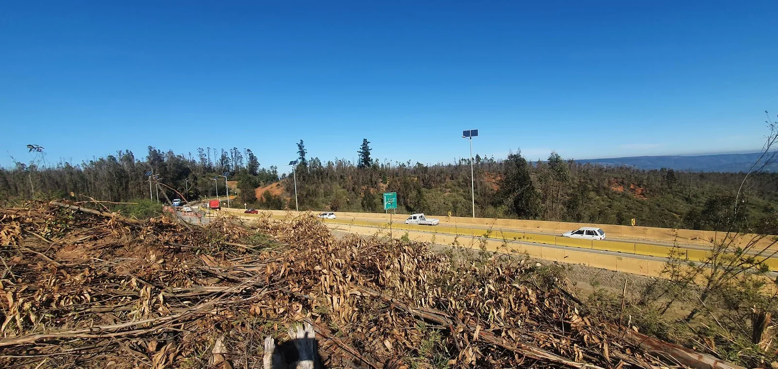 Arriendo terreno industrial de 8.000 m2 en Placilla. - foto 4