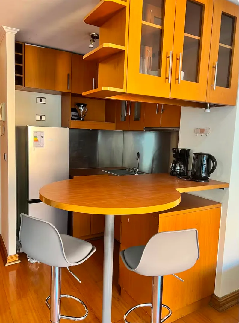 Departamento Amoblado en Providencia - foto 1