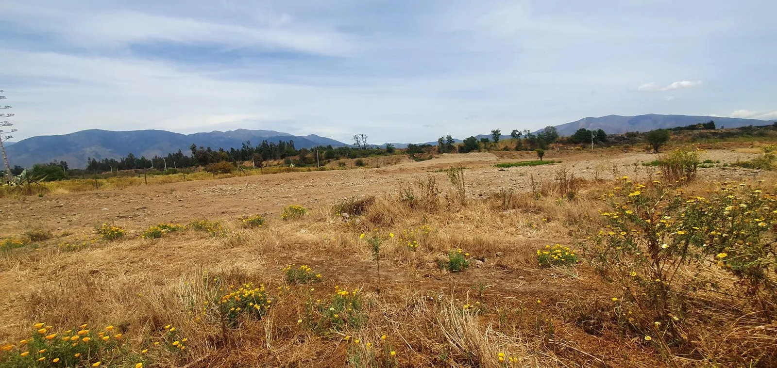 Veridika vende parcelas de 5000 m2 en condominio en Olmué - foto 1