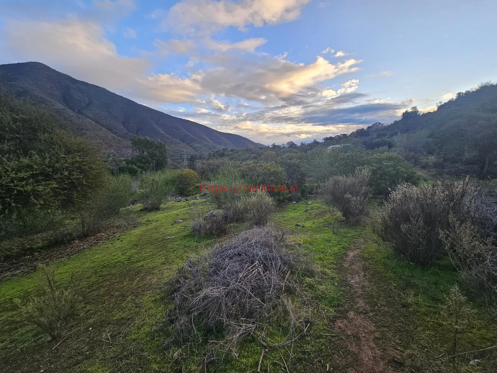 "Vendo hermosos terrenos semi planos y planos en Quebrada Alvarado. " - foto 5
