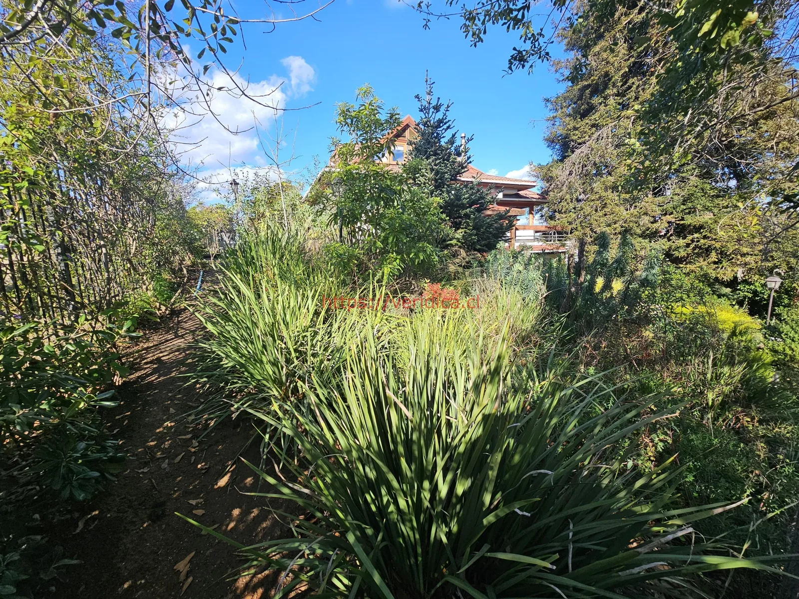 Vendo maravillosa casa en exclusivo sector de Quilpué - foto 5