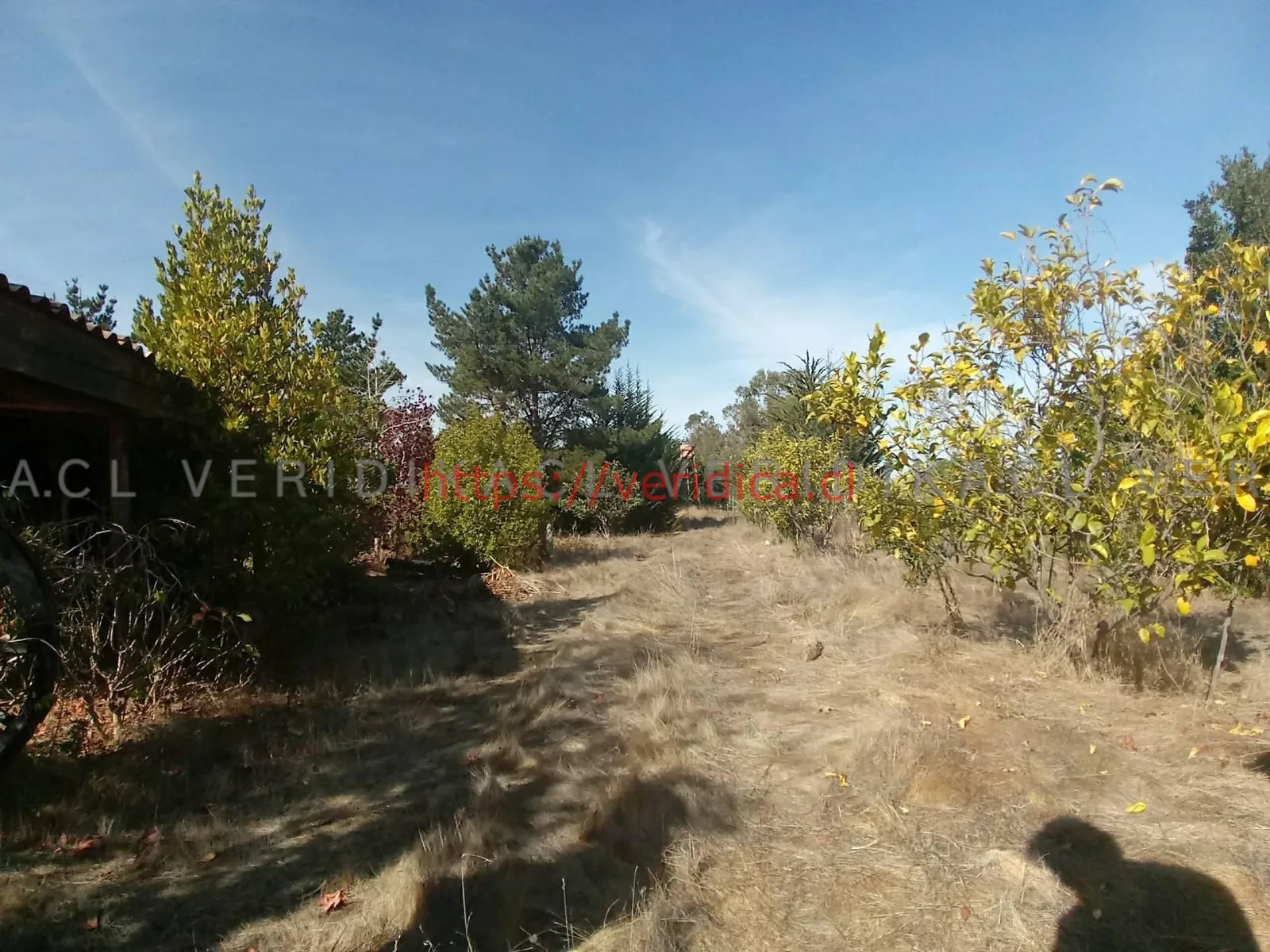 Espectacular parcela en Algarrobo de 43ha UF 11.000 - foto 6