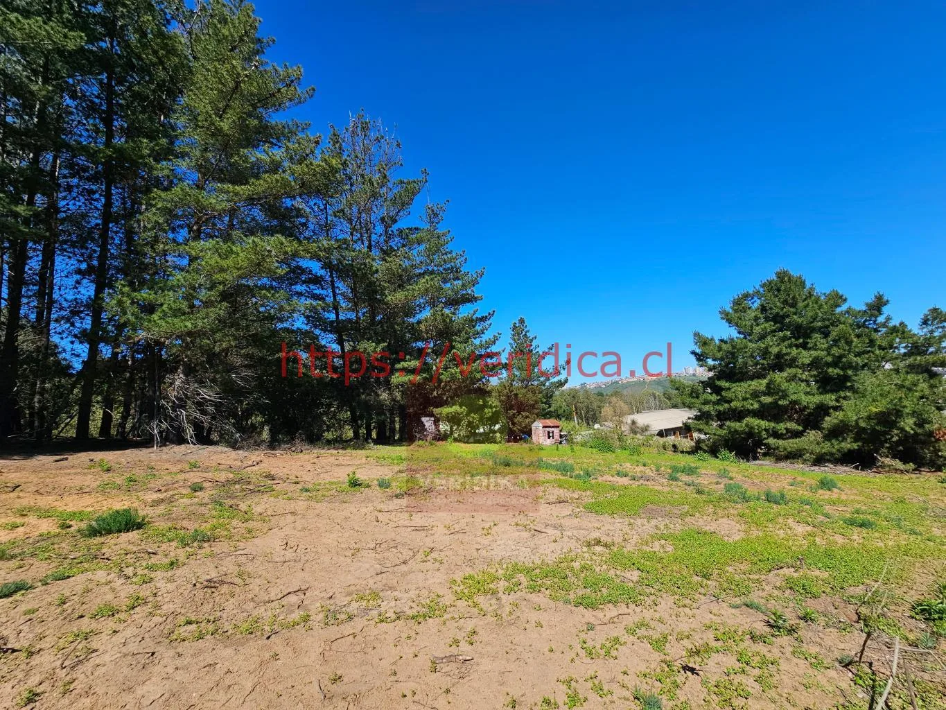 Veridika vende en Reñaca hermosos terrenos de 1000m2 - foto 1