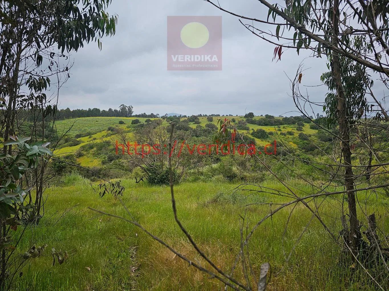 Vendo terreno industrial en Cartagena 6300uf/há, 23 há - foto 6