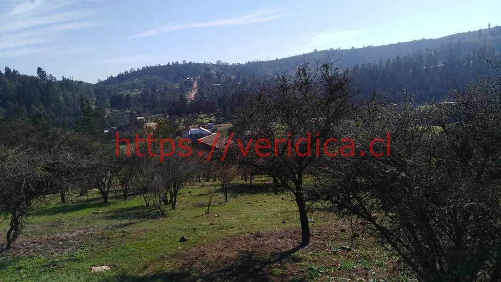 Veridika Vende Parcela, sector Los Molles, Lo Orozco Quilpué - foto 2