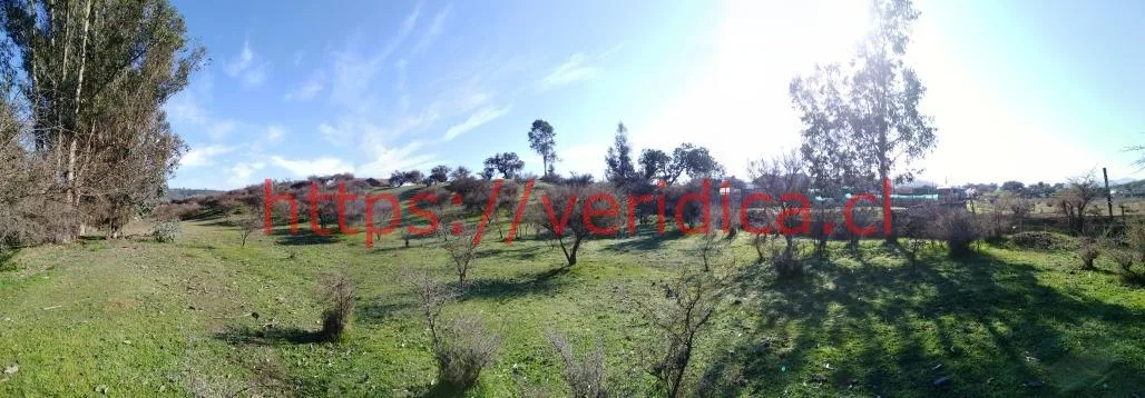 Veridika Vende Parcela, sector Los Molles, Lo Orozco Quilpué - foto 6