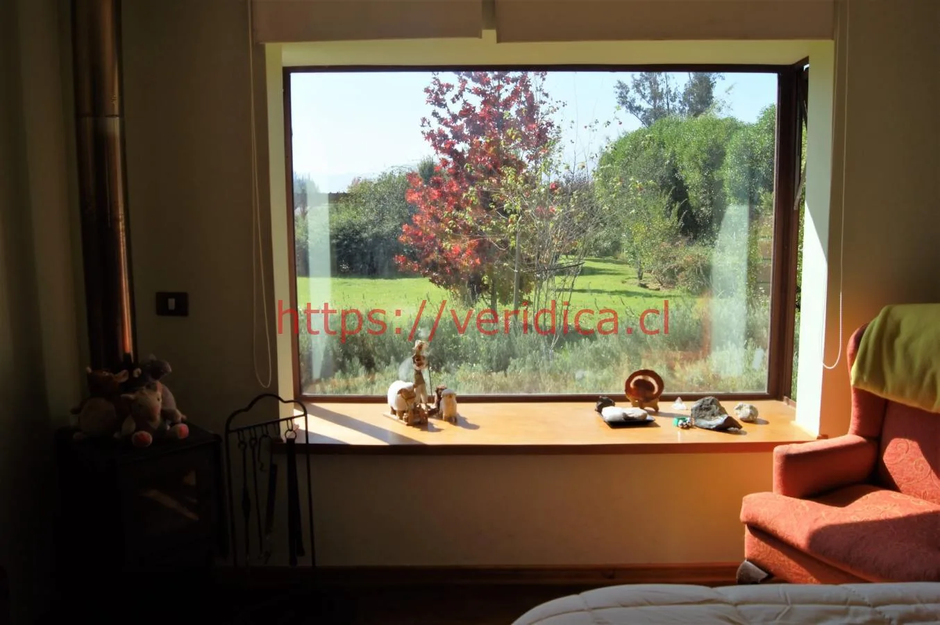 Veridika vende hermosa parcela de 5600m2 con casa de 240m2 - foto 4