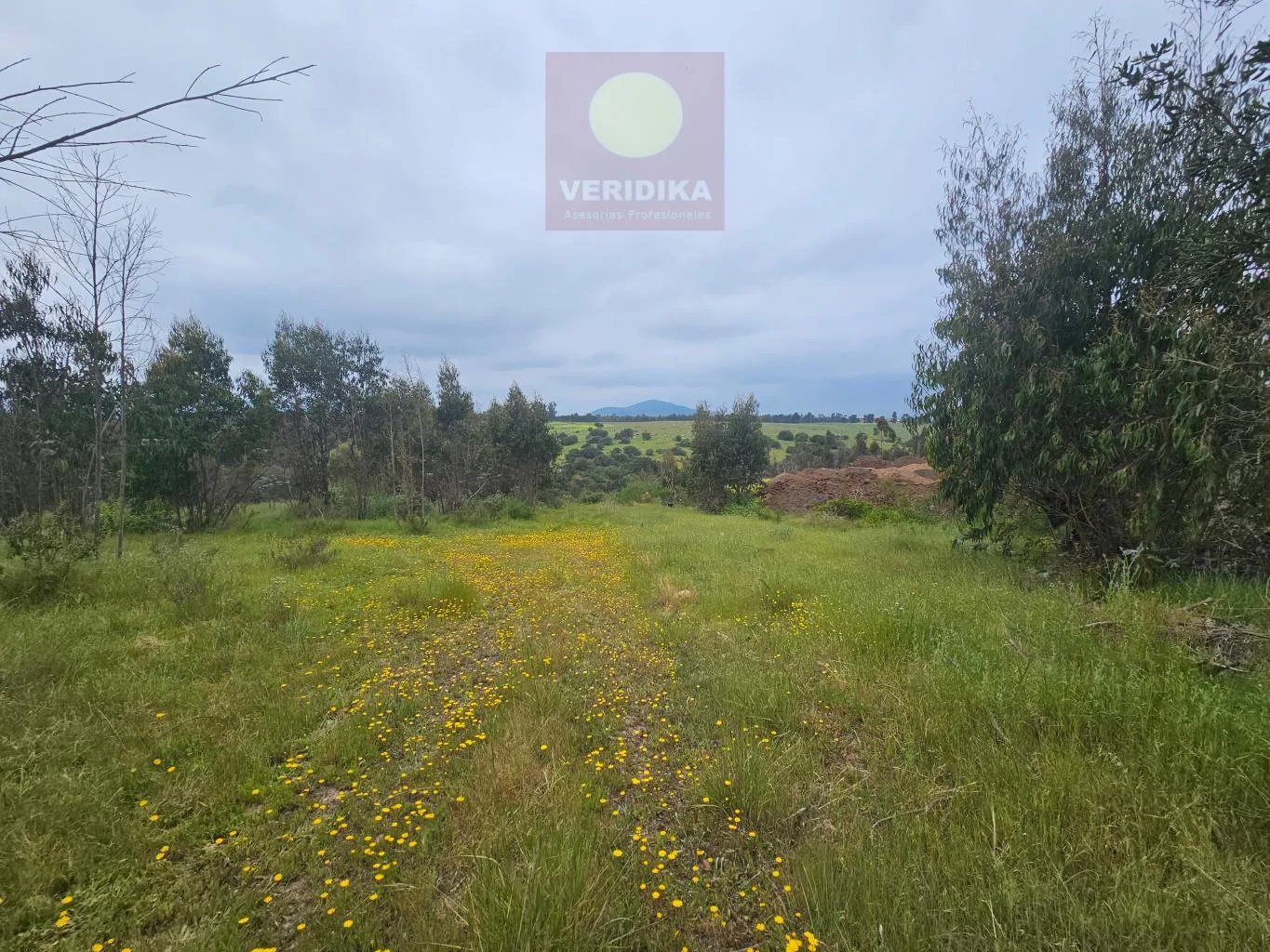 Vendo terreno industrial en Cartagena 6300uf/há, 23 há - foto 1