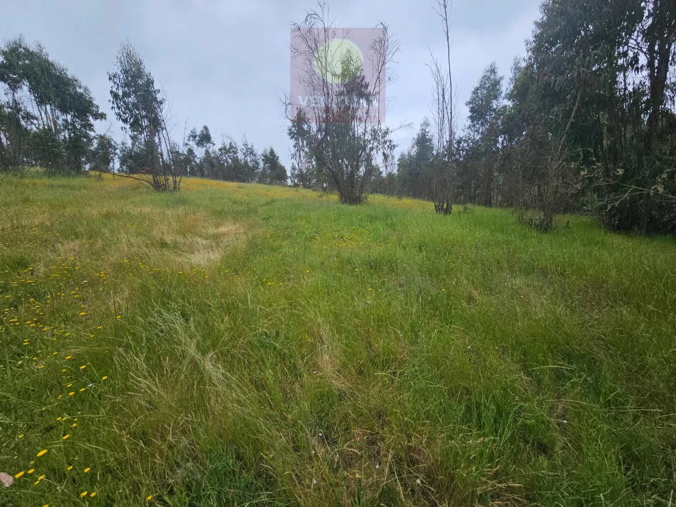 Vendo terreno industrial en Cartagena 6300uf/há, 23 há - foto 2