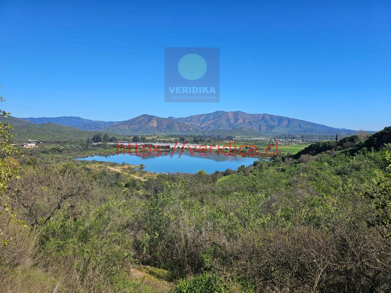 Vendo en Reserva forestal Las Añañucas terreno de 5290m2 - foto 6