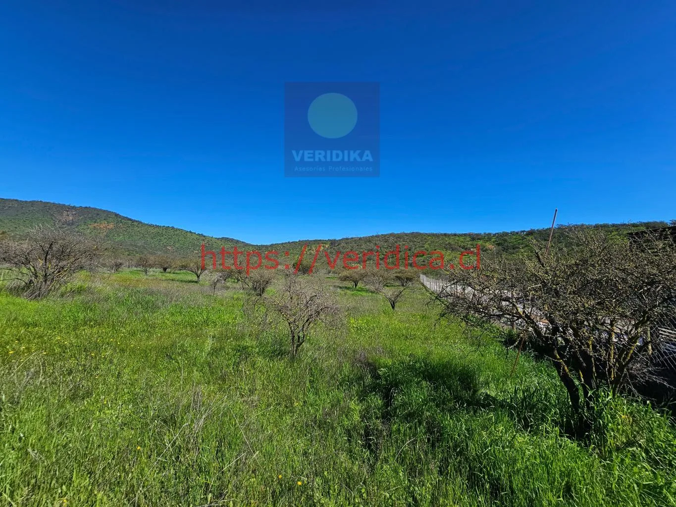Vendo en Reserva forestal Las Añañucas terreno de 5290m2 - foto 4
