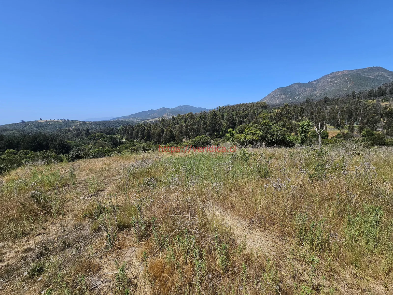 Vendo terreno en Mantagua. - foto 3