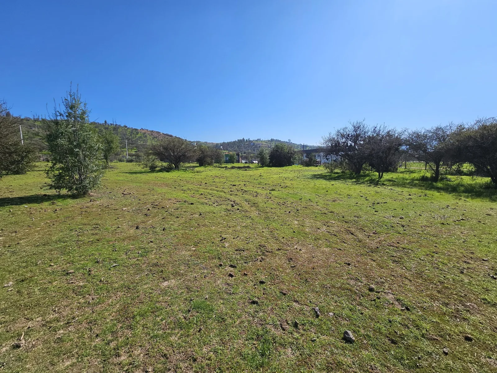 Vendo terrenos de 5000m2 en Campo Koyam Limache. - foto 3